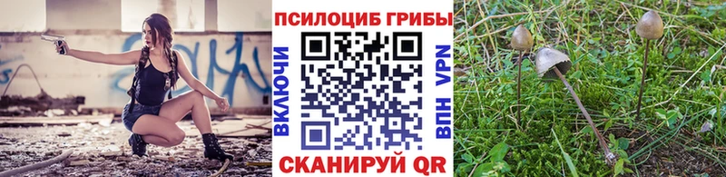 закладки  kraken сайт  Галлюциногенные грибы прущие грибы  Ядрин 